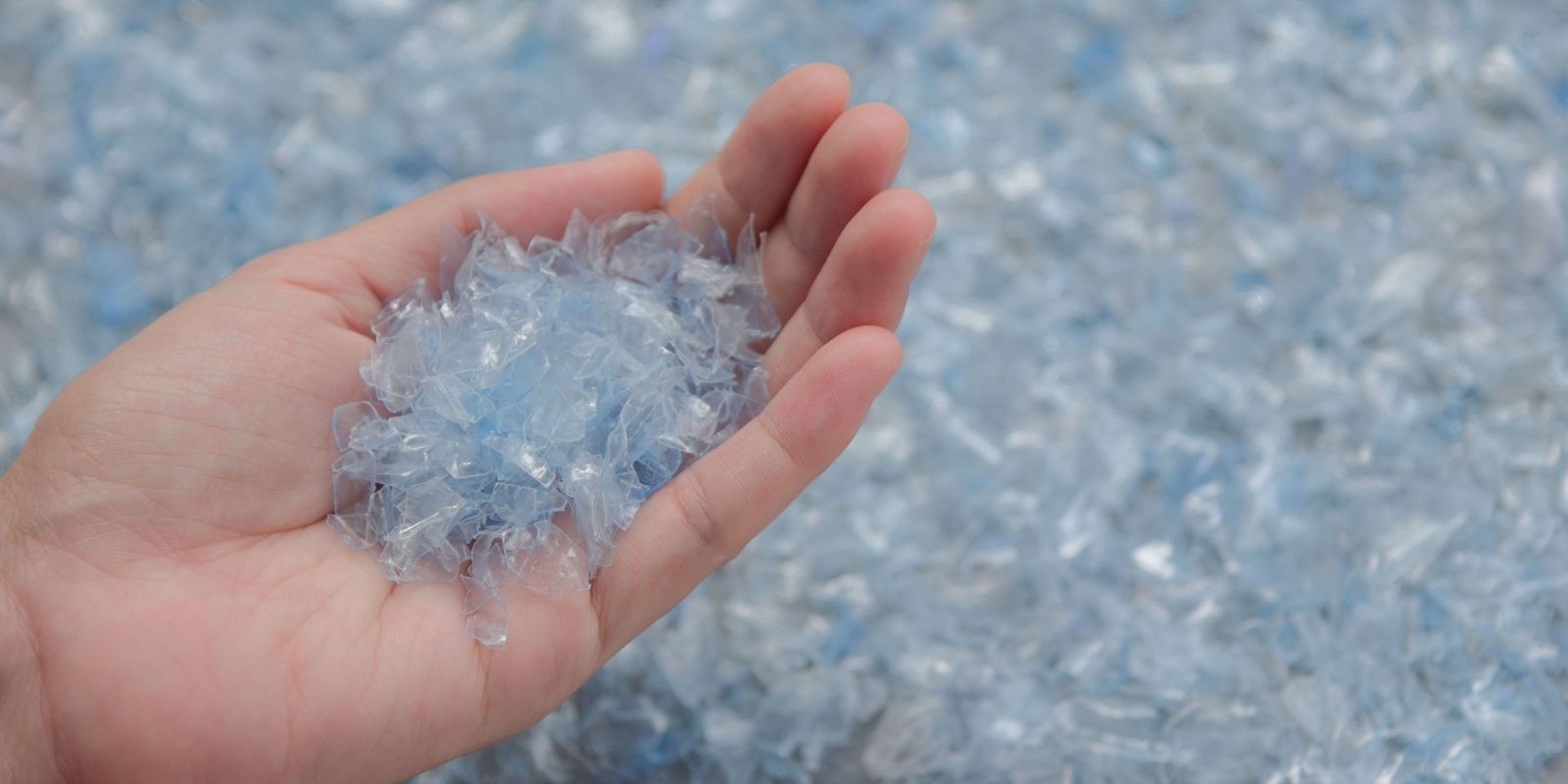 Plastikinių butelių pirkėjai ir perdirbėjai
