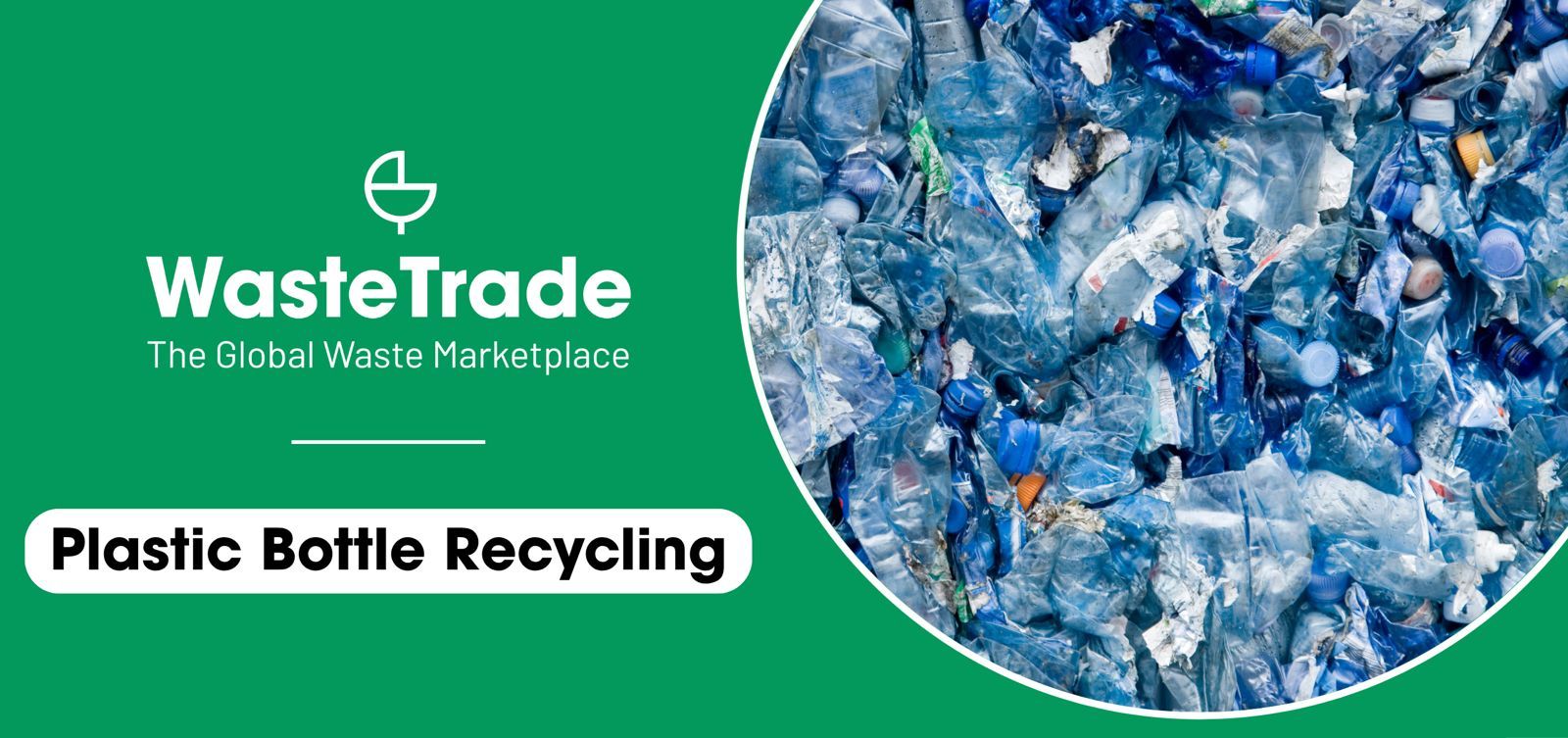 Plastic Bottle Recycling