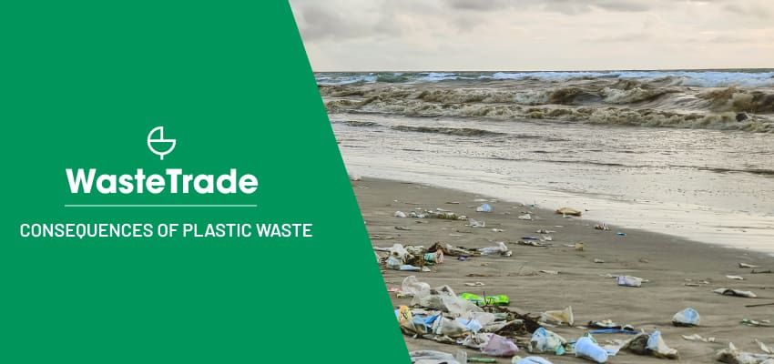 Consequences of Plastic Waste