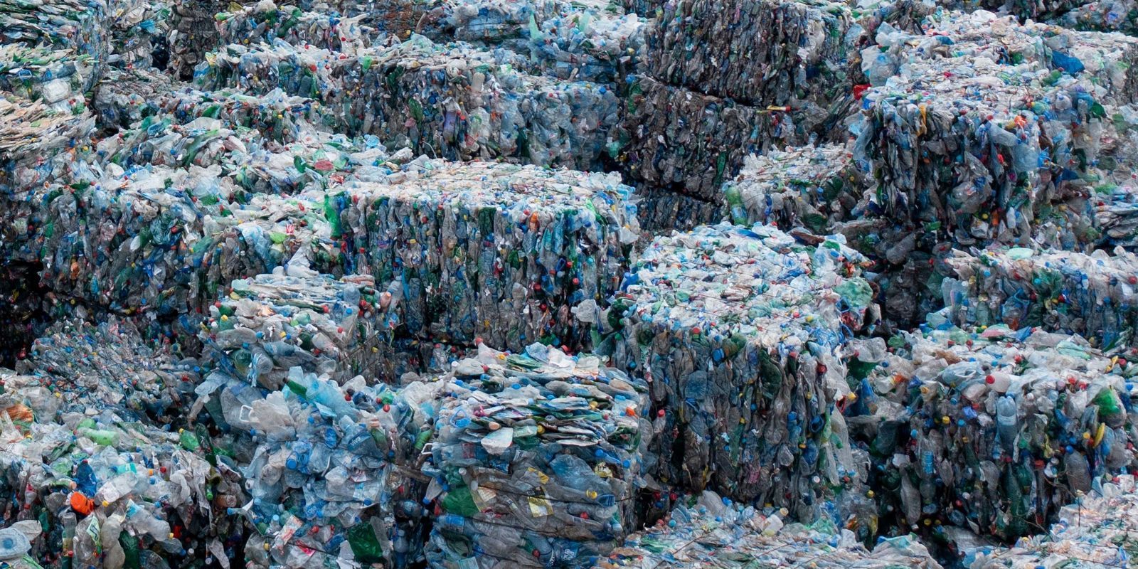 Plastic Water Bottles