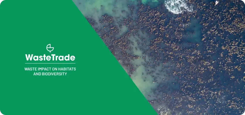 Waste Impact on Habitats and Biodiversity